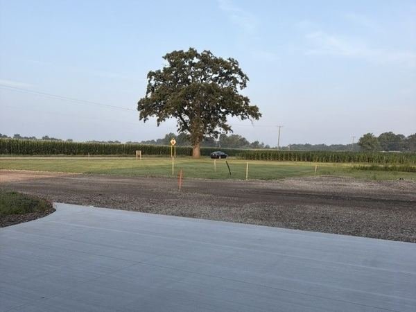 The same tree before, with survey flags and a cornfield.