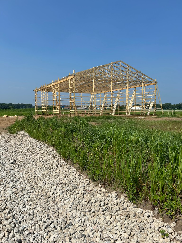 Post-frame structure: wooden trusses and columns before siding